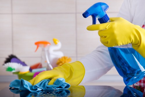 Deep cleaning fabric furniture in a Watford home