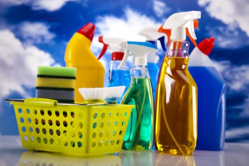 Stain and odour removal during rug cleaning
