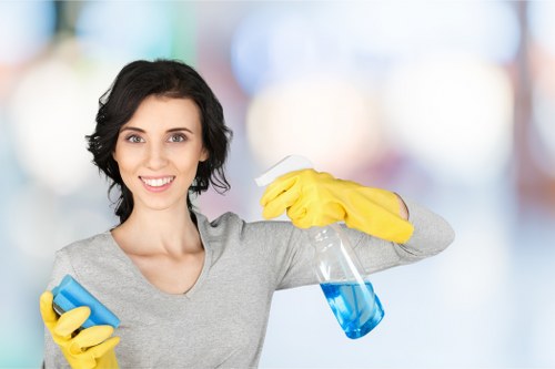 Visual cue for screen-reader friendly carpet cleaning service information
