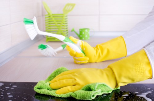 Kitchen cleaning tasks in a Watford home