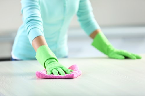 Tenant-friendly end of tenancy cleaning service in Watford living room